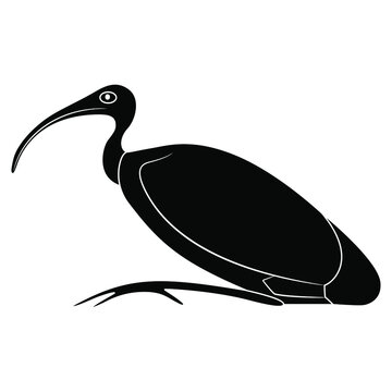 recommend clip art: Perched ibis bird. Sacred animal of god Thoth. Ancient Egyptian mythology. Black and white negative silhouette.
