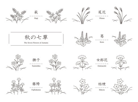 1 843 件の最適な 桔梗の花 画像 ストック写真 ベクター Adobe Stock 1 843 件の最適な 桔梗の花 画像 ストック写真 ベクター Adobe Stock