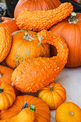 Decorative pumpkins at a farm stand
