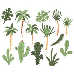 Cute hand drawn cartoon palms and cacti. Tropical plants icons. Flat isolated vector illustration.