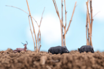 Wild animals near the tree just planted in spring