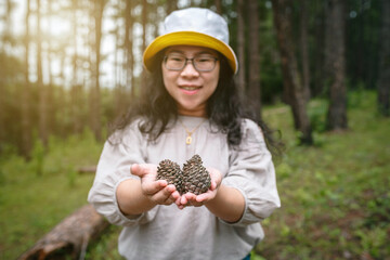 Asian female tourist in white dress with hat is holding pine cones in pine forest green on nature trail Forest Park.