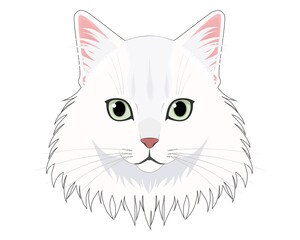 猫の顔(ペルシャ猫)