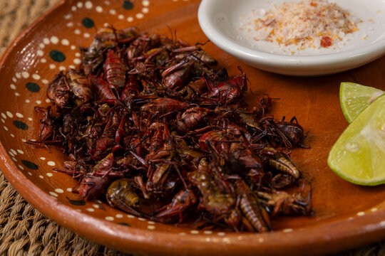 Chapulines