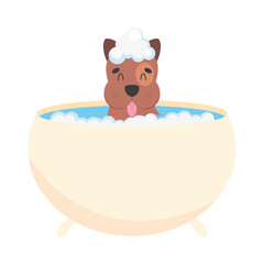 cute dog in bathtub