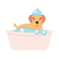 cute cocker spaniel in bathtub