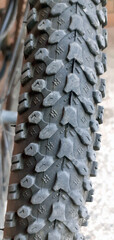 bicycle wheel tire with protectors