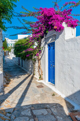 Traditional cycladitic   alley with a narrow street,  whitewashed  houses and a blooming bougainvillea in Chora Amorgos  Greece