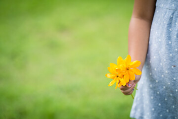 Little girl holding yellow flowers in hand against grassland background.. summer background.