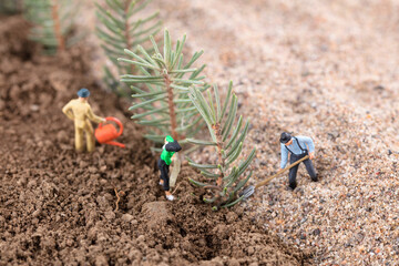 Tree planting and afforestation to prevent and control sand during the Arbor Day