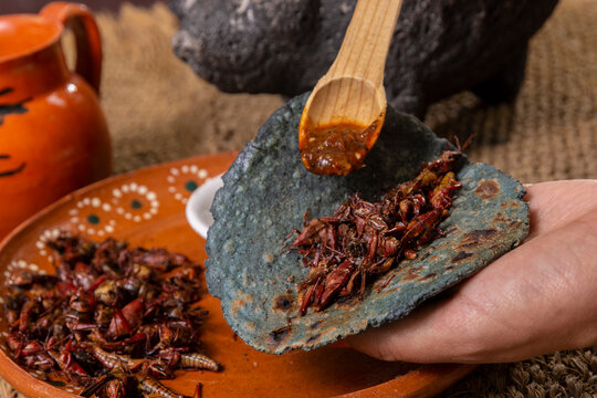 Taco De Chapulines