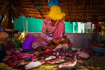 Old Cambodian women sell fish at wet markets. The authentic Asian way of life.