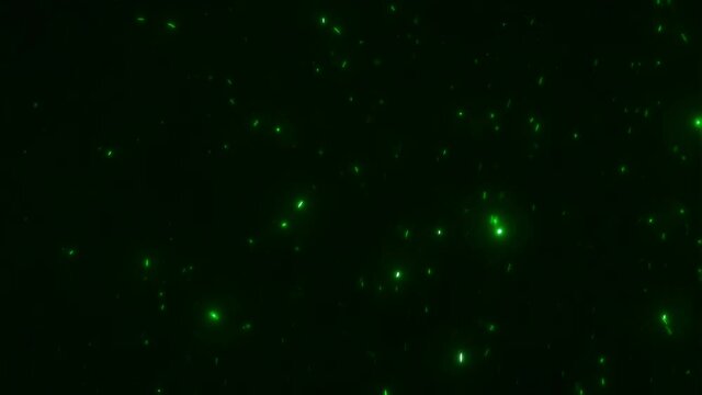 Green shimmering abstract energy particles loop background. Concept 3D animation overlay of rising and floating futuristic artificial intelligence quantum nanotechnology robots swirling in space