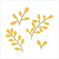 Doodle wollow branch set icon isolated on white. Hand drawn line art. Flower cartoon. Vector stock illustration. EPS 10