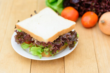 Sandwich tuna in white dish