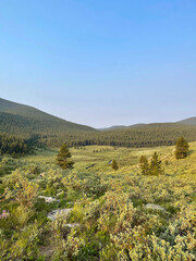 landscape in the mountains