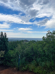 landscape with trees