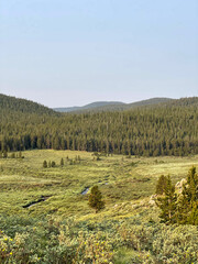landscape in the mountains