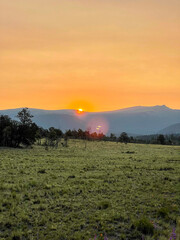 sunset over the field