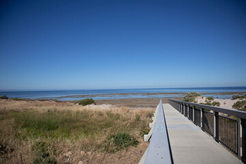 Obraz premium path to the beach