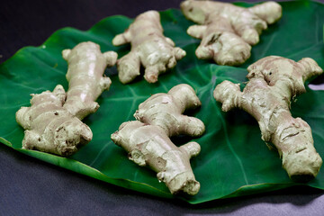 closeup ginger root isolated on green leaf