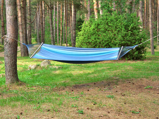 Hammock strung between trees in the forest park.