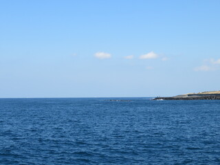 Obraz premium 伊豆大島 元町港からの眺め