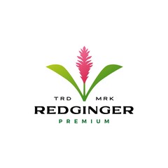 red ginger flower tree logo vector icon illustration