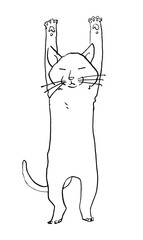 両手を上げるネコ