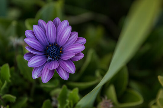 Photowalk Bilbao 2019