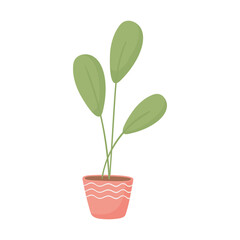 pot plant decoration