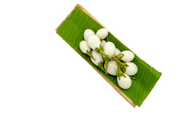 Top view white eggplant or Aubergine in a tray of banana leaf for sale on white background. Isolated white eggplant or Aubergine in a tray of banana leaf.