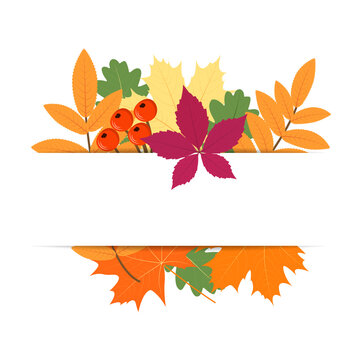 Background with autumn leaves, rowan berries and cut paper. Place for your text.