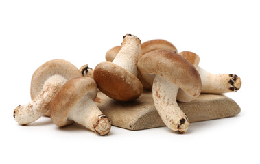 Shiitake mushroom on the White background 