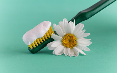 Natural herbs toothpaste and mouthwash based on medicine herbal.