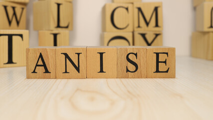 The word Anise was created from wooden letter cubes. Gastronomy and spices.