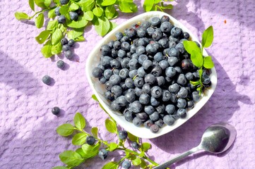 Photo of blueberries illuminated by the sun. Delicious blueberries on a small saucer. Blueberry sprigs.