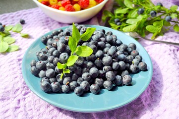 Photo of blueberries illuminated by the sun. Delicious blueberries on a small saucer. Blueberry sprigs.