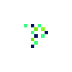 TP Pixel Logo Design