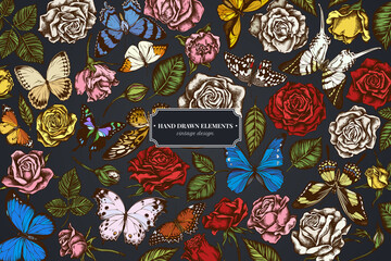 Floral design on dark background with menelaus blue morpho, giant swordtail, blue morpho, lemon butterfly, red lacewing, african giant swallowtail, alcides agathyrsus, wallace's golden birdwing