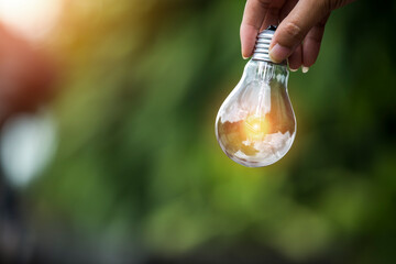 light bulb against nature, icons