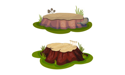 Tree Stump as Small Part of Trunk with Roots in the Ground Vector Set