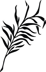 Isolated Tropical Plant Silhouette Vector