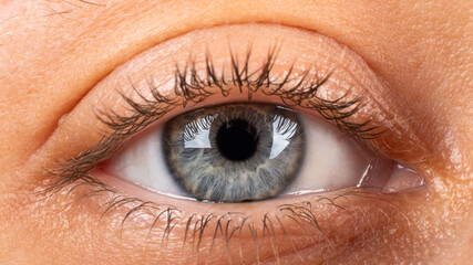 blue-gray female eye closeup