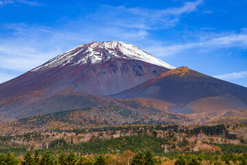 Fototapeta premium 秋の富士山 静岡県裾野市富士山スカイラインの水ケ塚にて