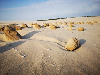 Sand stones and little shells on a sand dune on a summer sunny day near the Baltic Sea in Latvia 