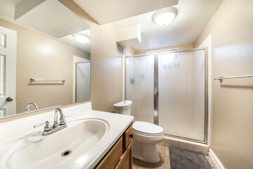 Bathroom interior with vanity unit and shower stall with textured glass enclosure