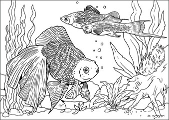 Aquarium with Veiltail and swordtail for coloring. Colorful tropical fish vector templates. Coloring book for children and adults.