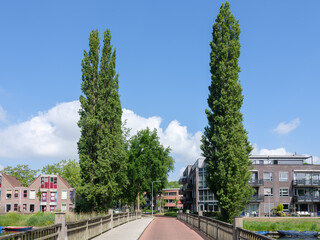 Fototapeta na wymiar Cityscape Zwolle, Overijssel Province, The Netherlands