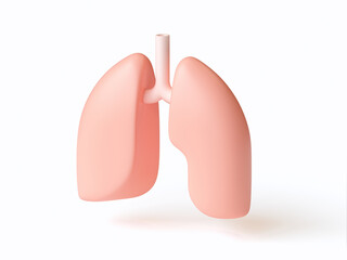 Isometric 3d illustration of stylized human lungs isolated on white. Inspired by flat design trends